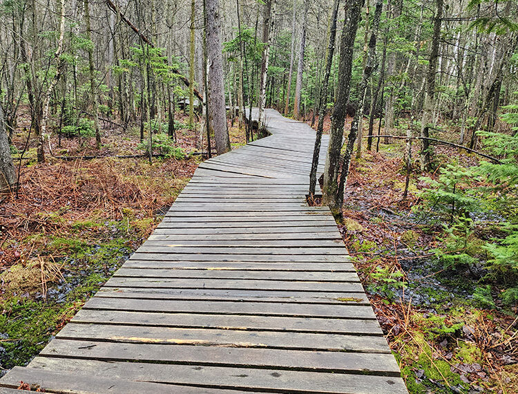 Parc régional des Grèves