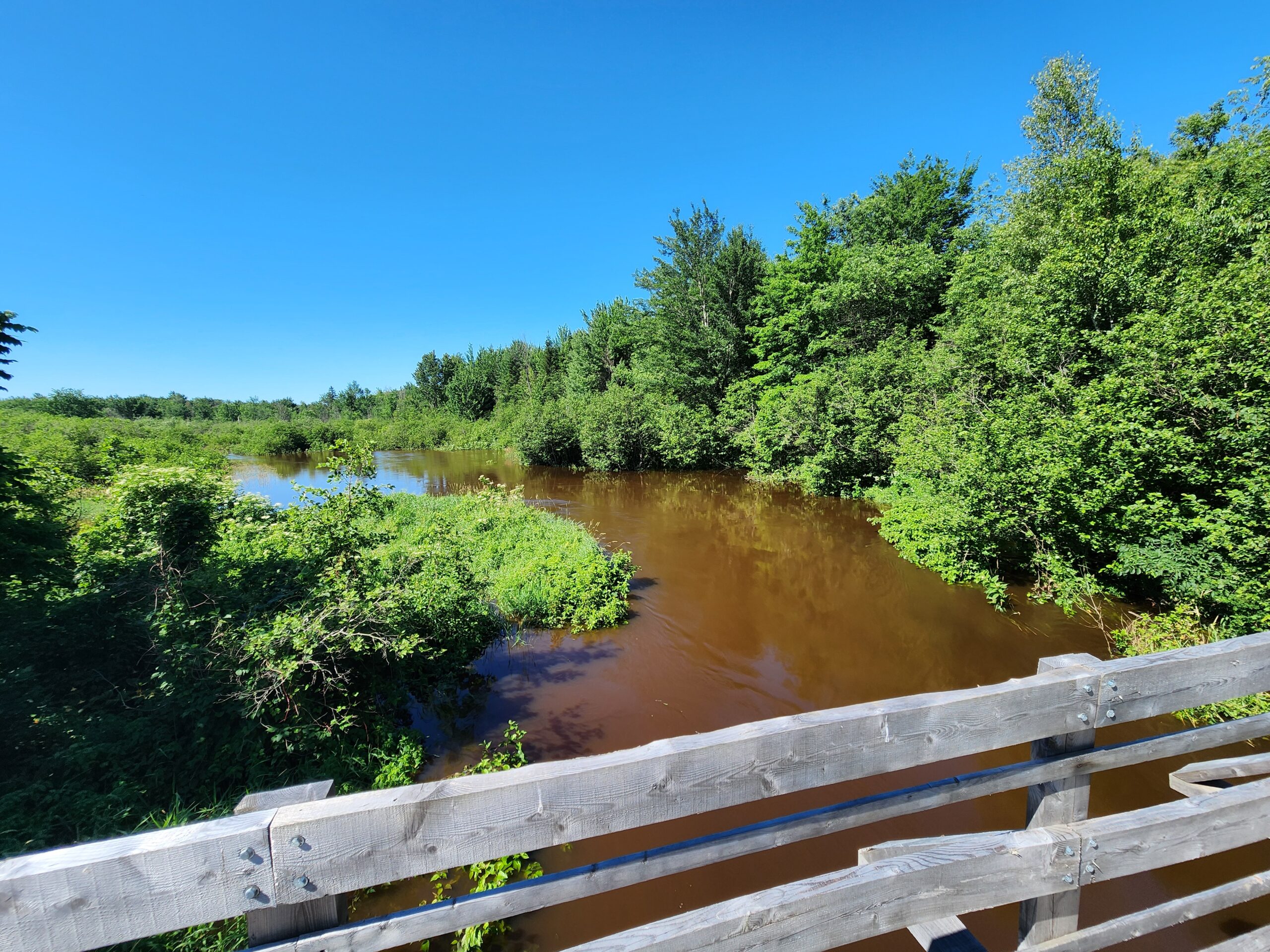 La rivière noire et ses ponts de bois