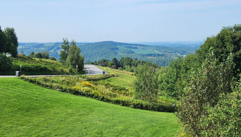 Vue sur la route pour aller au parc