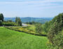 Vue sur la route pour aller au parc